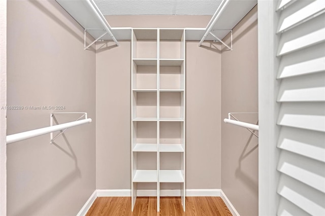 spacious closet with wood-type flooring