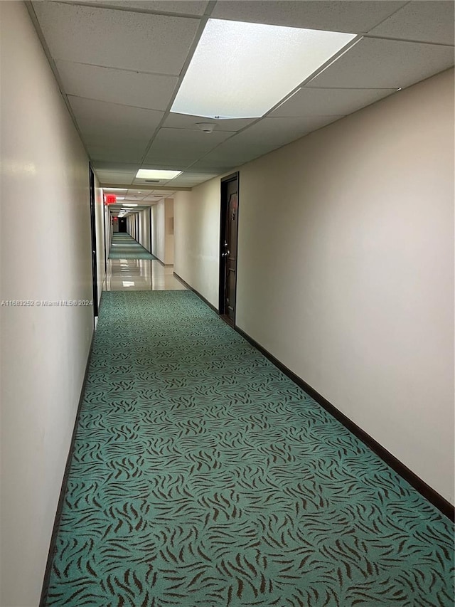 corridor with carpet floors and a paneled ceiling