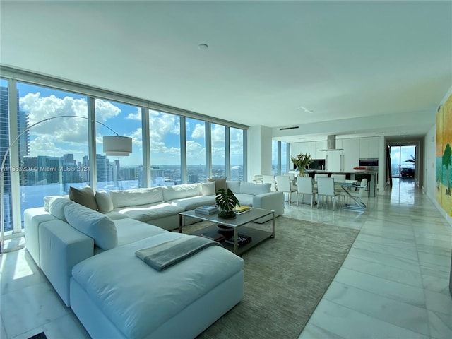 living room with expansive windows