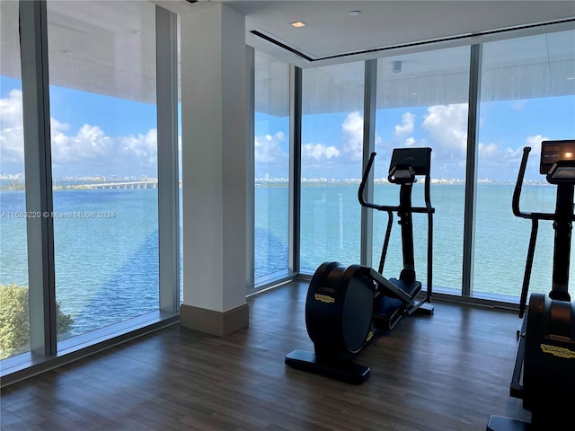 workout area with a water view and a healthy amount of sunlight