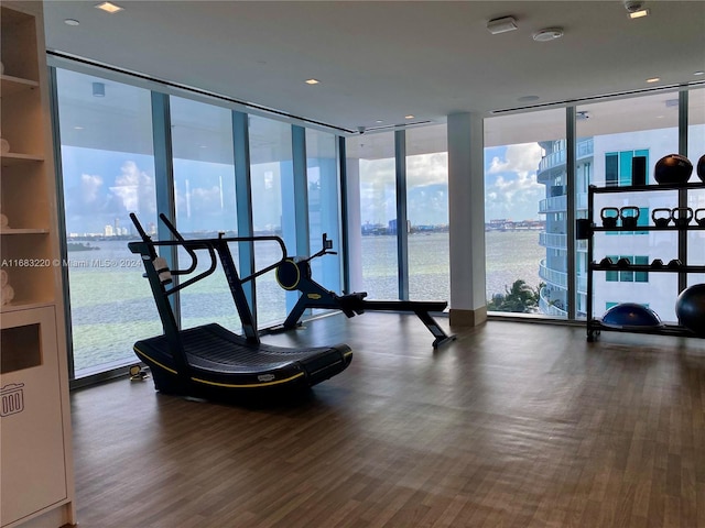 gym with a water view, a healthy amount of sunlight, and hardwood / wood-style floors