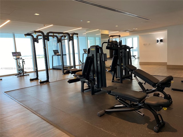 gym featuring wood-type flooring and floor to ceiling windows