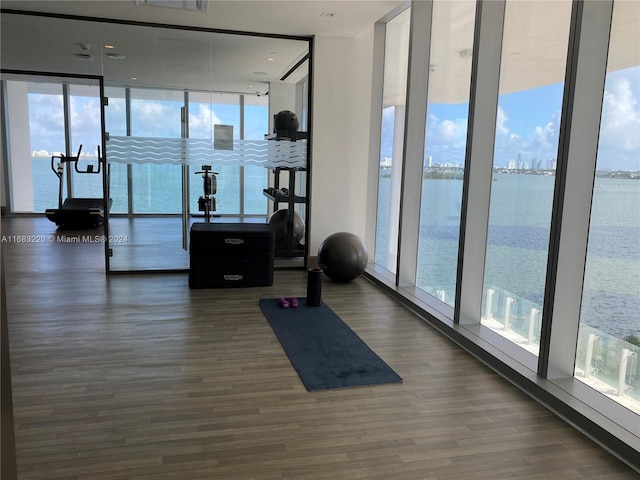 workout area featuring a water view, dark hardwood / wood-style floors, and floor to ceiling windows