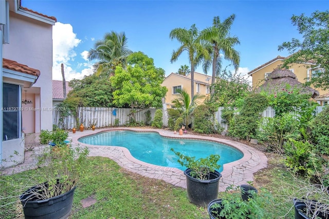 view of swimming pool