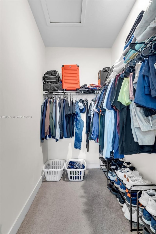 walk in closet with carpet flooring