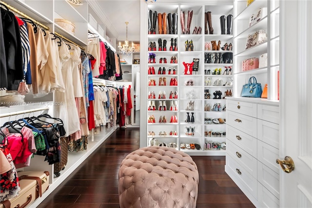 spacious closet with dark hardwood / wood-style floors and a chandelier