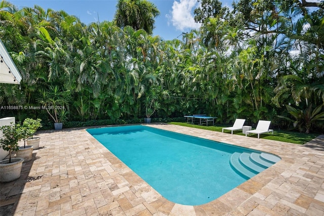 view of swimming pool with a trampoline and a patio