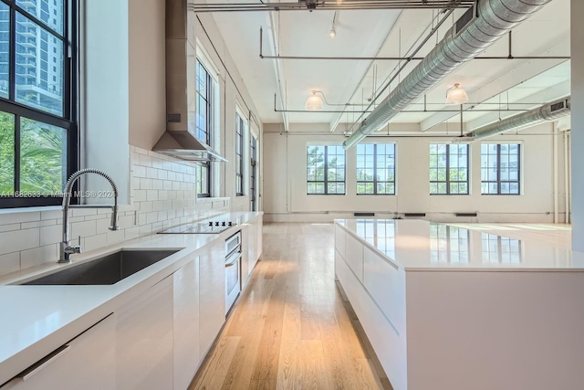 kitchen with white cabinetry and a healthy amount of sunlight