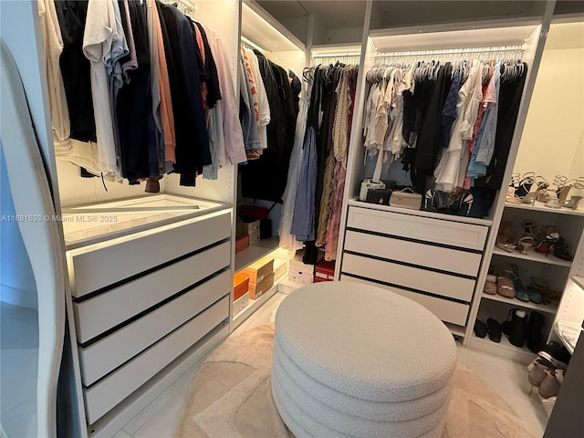 view of spacious closet