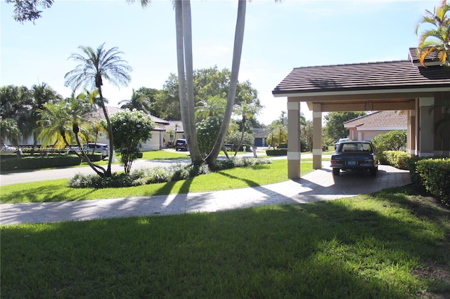 view of yard with a carport