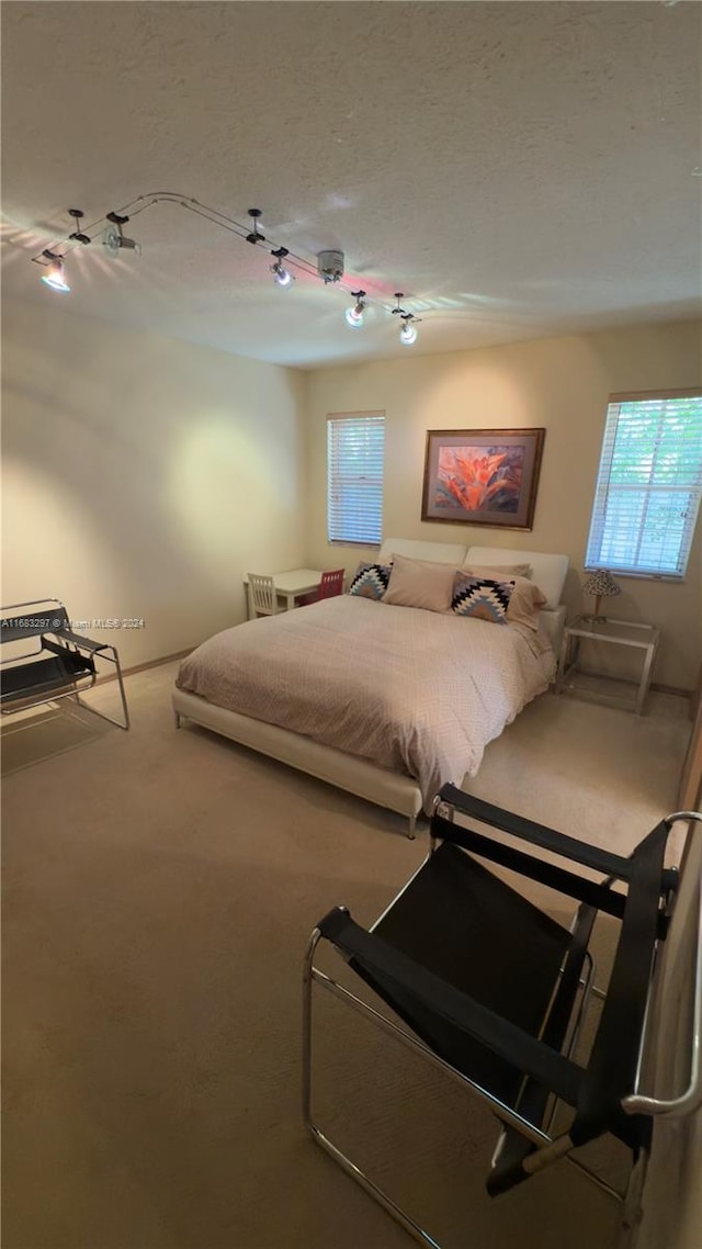 bedroom with carpet floors and a textured ceiling