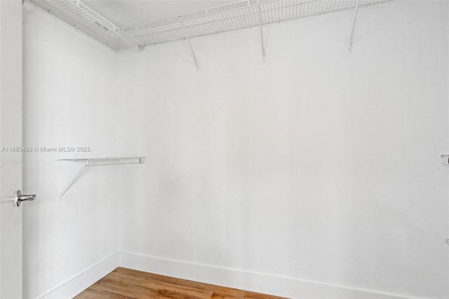 walk in closet featuring hardwood / wood-style flooring