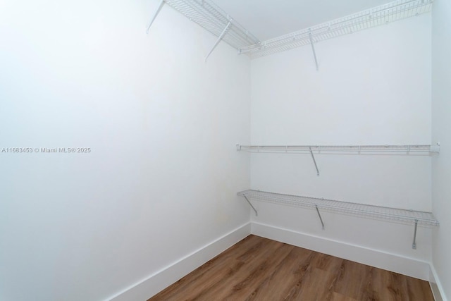 walk in closet featuring wood-type flooring