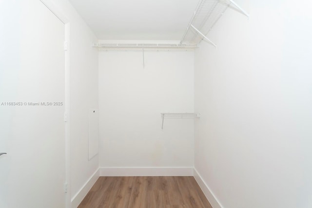 spacious closet featuring hardwood / wood-style flooring