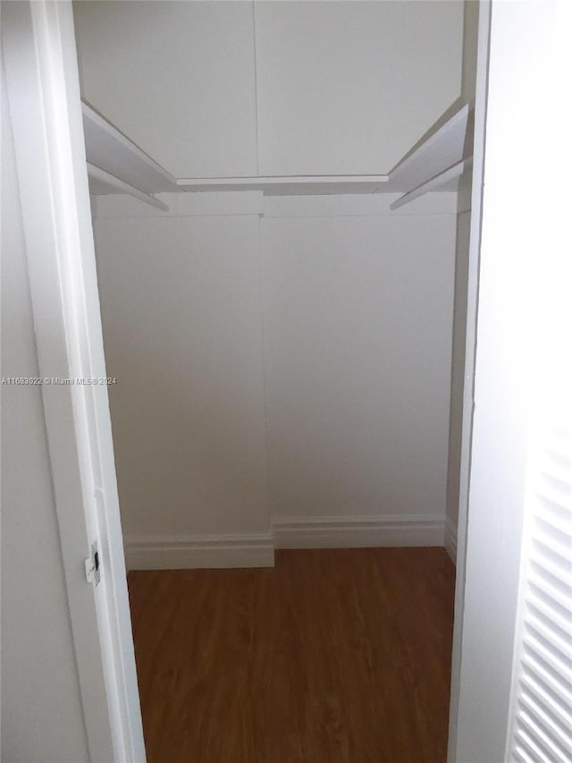 spacious closet with dark hardwood / wood-style floors