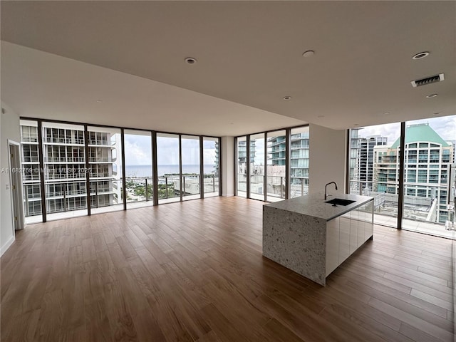 interior space featuring expansive windows, a water view, light hardwood / wood-style floors, and sink