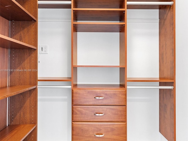 view of walk in closet