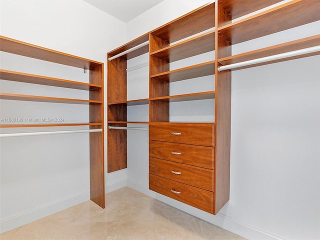 view of spacious closet