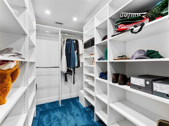 walk in closet with dark carpet