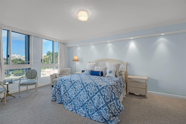 bedroom with carpet floors