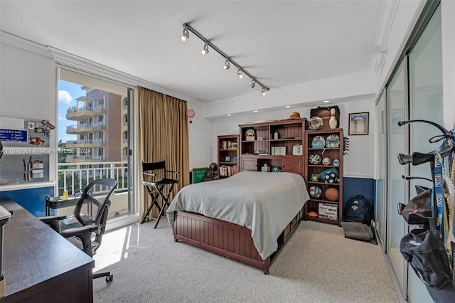 bedroom featuring light carpet, ornamental molding, and multiple windows