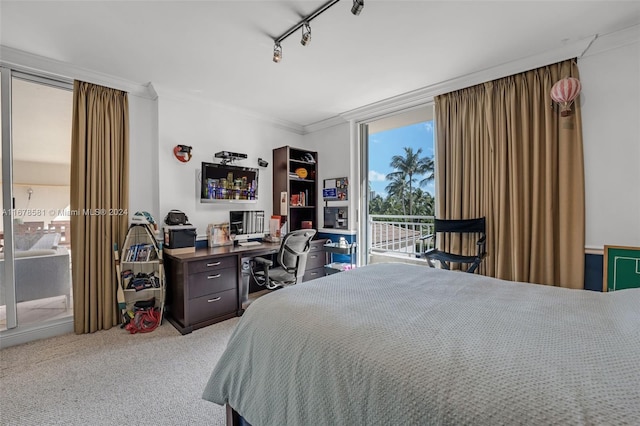 bedroom featuring crown molding, rail lighting, light colored carpet, and access to outside