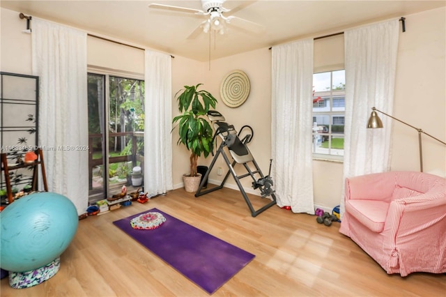 exercise room with ceiling fan, plenty of natural light, and hardwood / wood-style floors