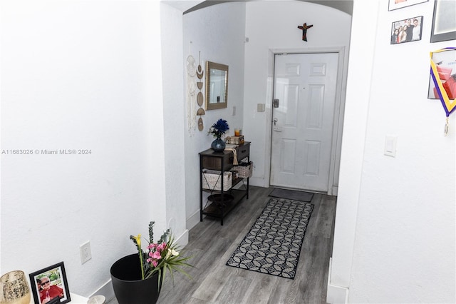 foyer entrance with hardwood / wood-style floors