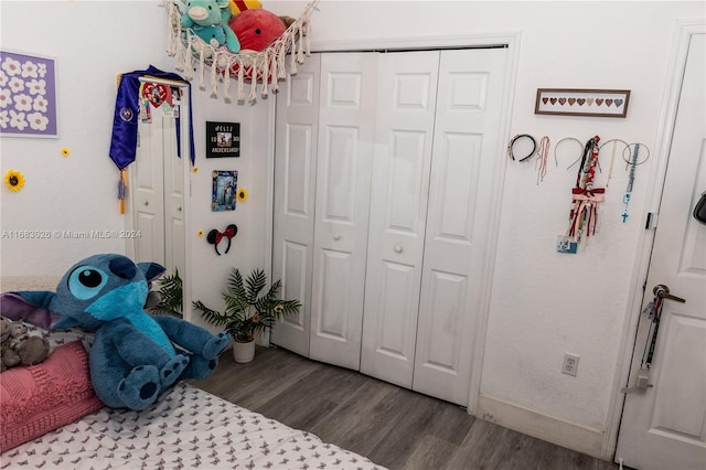 bedroom with a closet and wood-type flooring