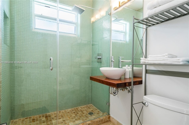 bathroom with toilet, a shower with shower door, and sink