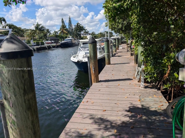 dock area featuring a water view