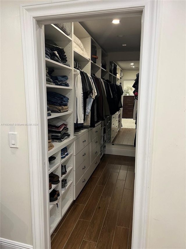 spacious closet featuring dark wood-type flooring