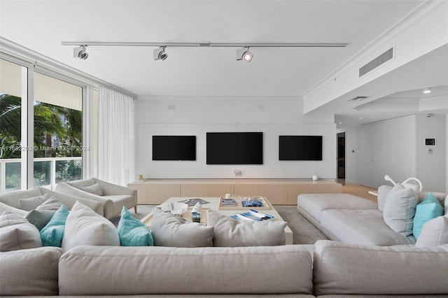 living room with ornamental molding and rail lighting