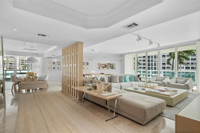 living room featuring a healthy amount of sunlight and a tray ceiling