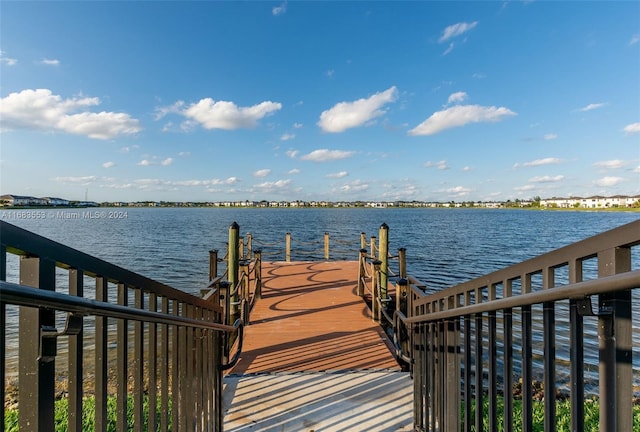 dock area with a water view