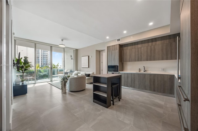 living room featuring sink