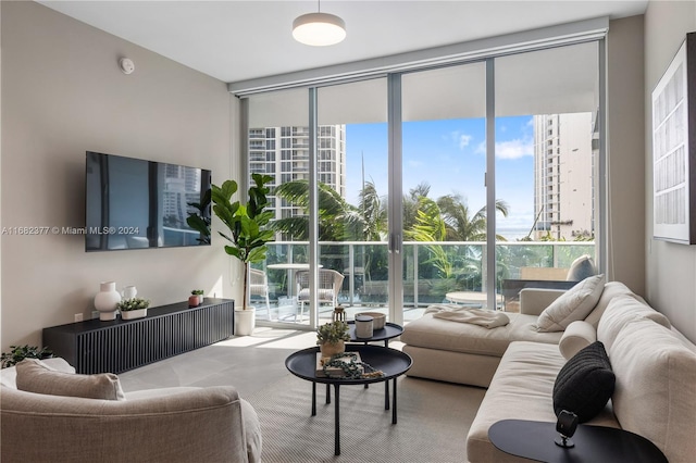 living room featuring expansive windows and a healthy amount of sunlight