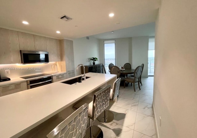 kitchen with sink and stainless steel appliances