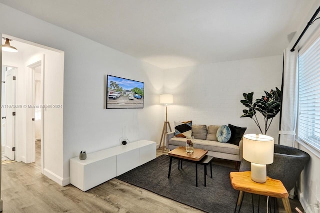 living room with light hardwood / wood-style flooring