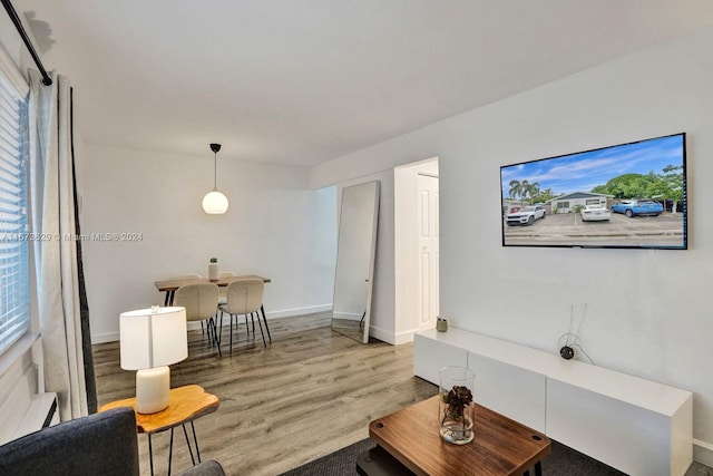 living room featuring hardwood / wood-style flooring