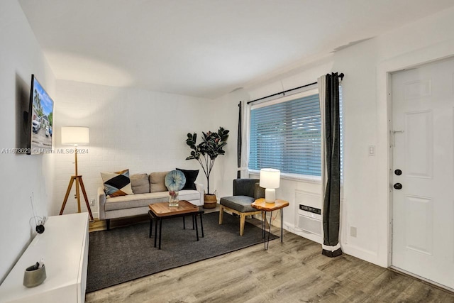 living room featuring wood-type flooring