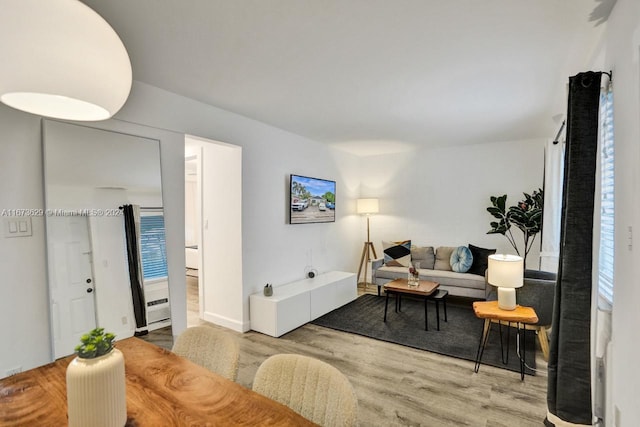 living room with wood-type flooring