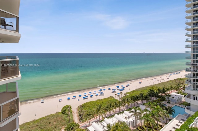 water view featuring a beach view