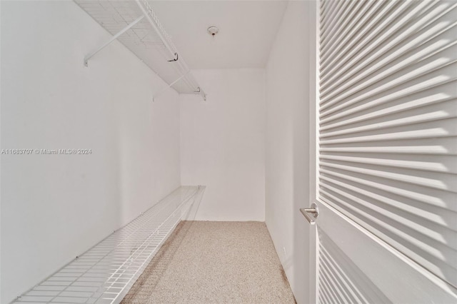 spacious closet with carpet flooring