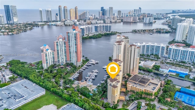 drone / aerial view featuring a water view and a city view