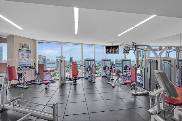 workout area featuring a wealth of natural light and floor to ceiling windows