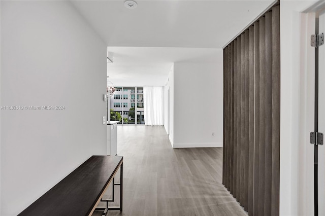 hallway with a notable chandelier, light wood-type flooring, and floor to ceiling windows