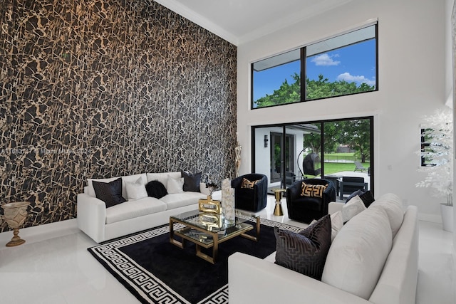 2440 SW 105th Ter, Davie, FL 33324 - living area featuring crown molding and a high ceiling