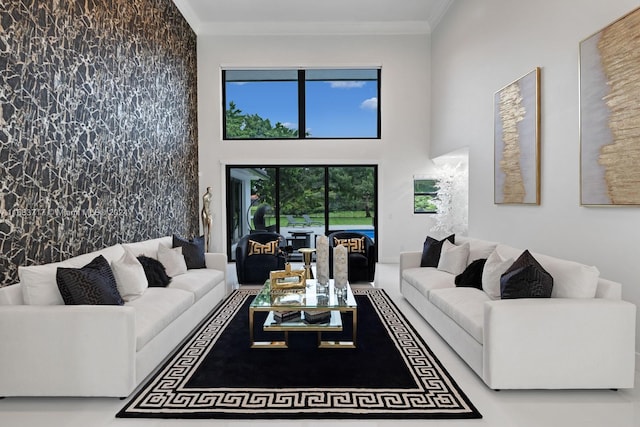 2440 SW 105th Ter, Davie, FL 33324 - living area featuring a high ceiling and crown molding