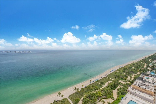 water view with a view of the beach